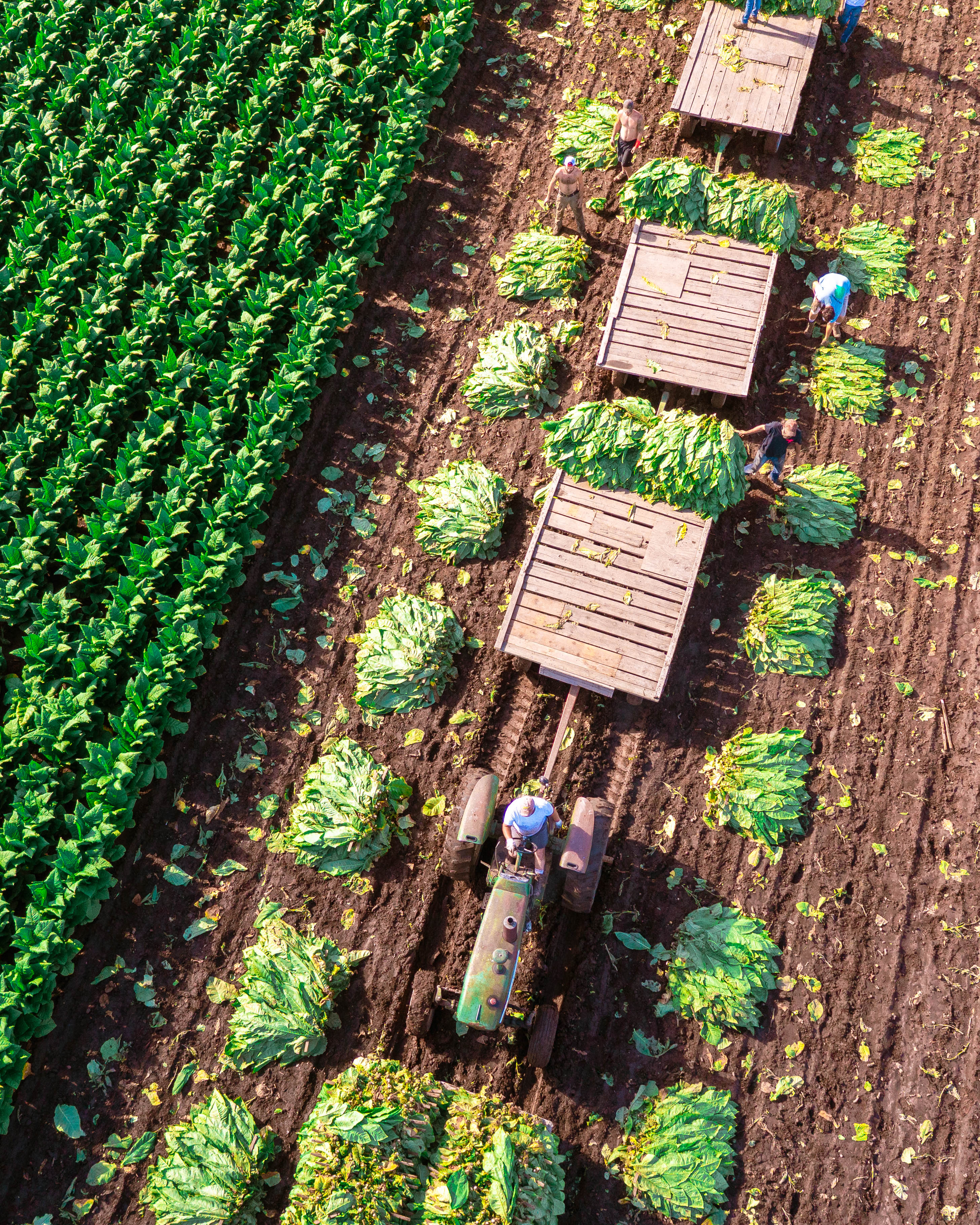 Drone photography by Ross Harried