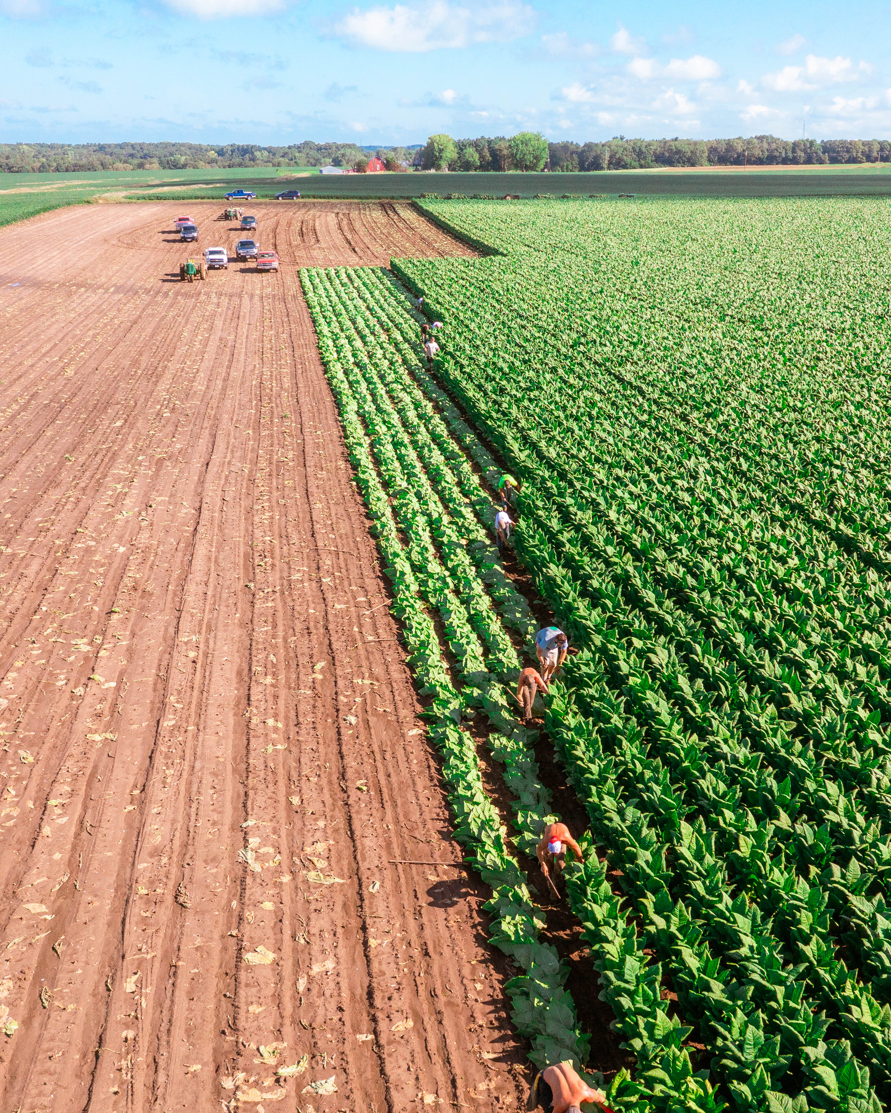 Drone photography by Ross Harried