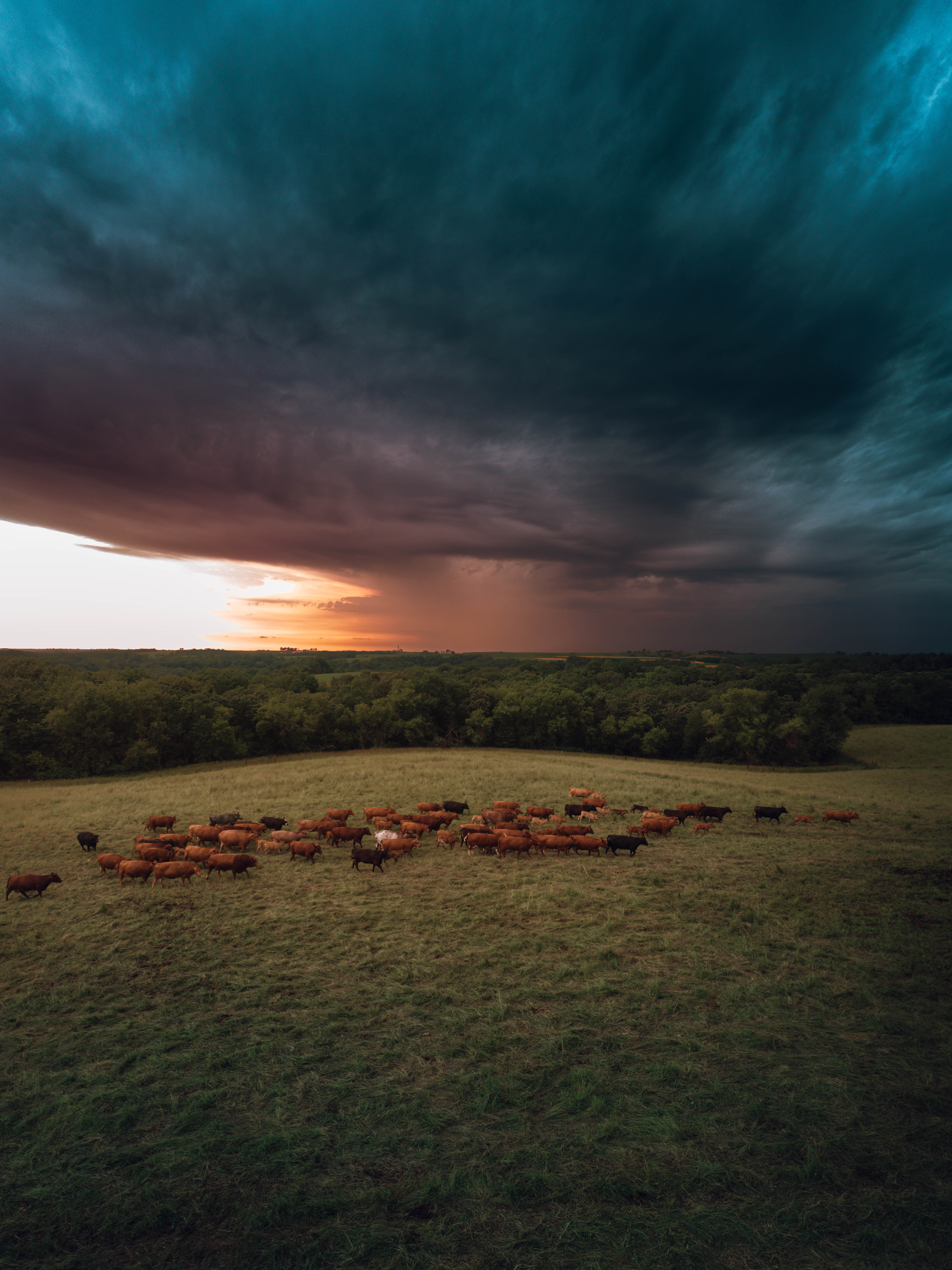 Drone photography by Ross Harried