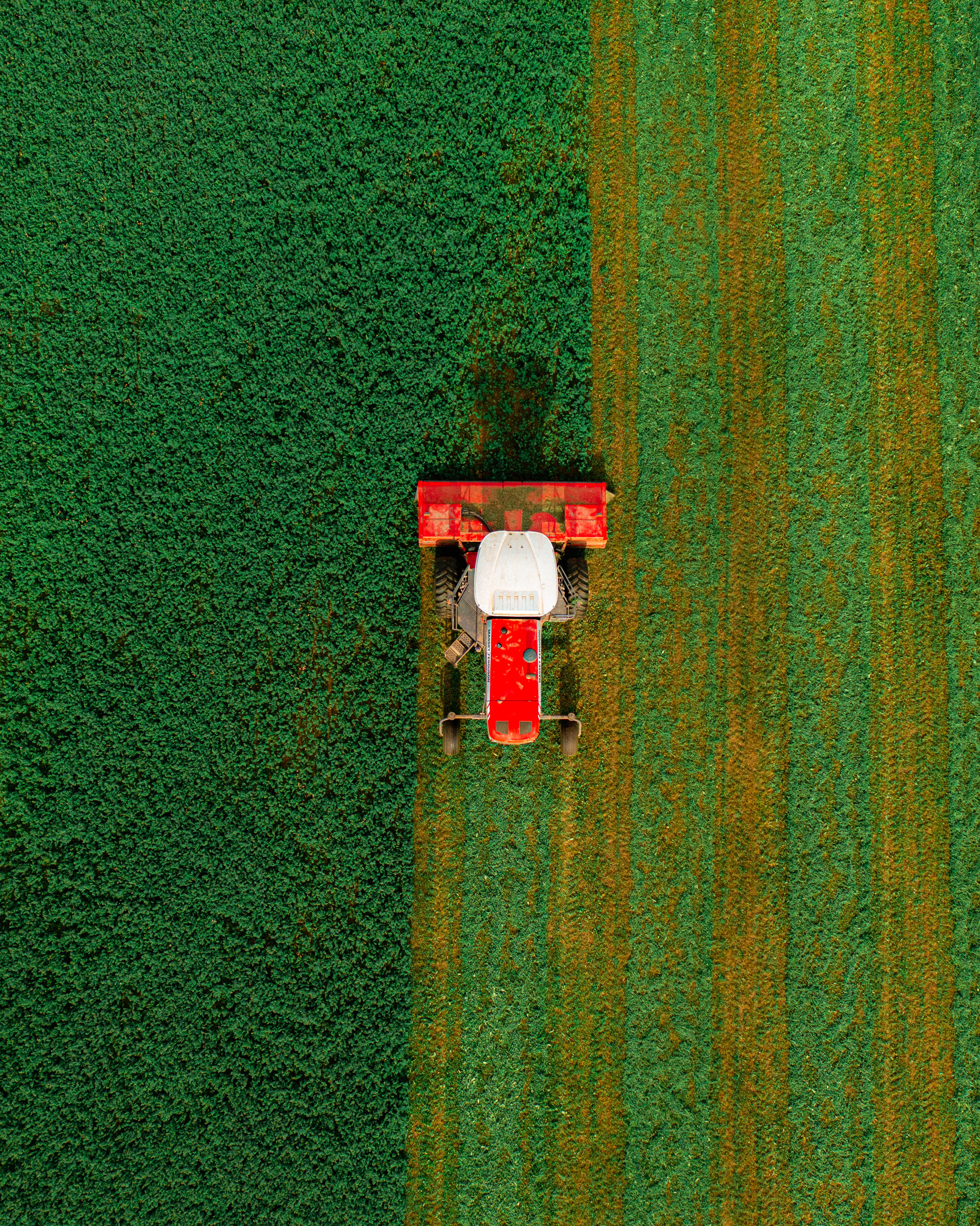 Drone photography by Ross Harried
