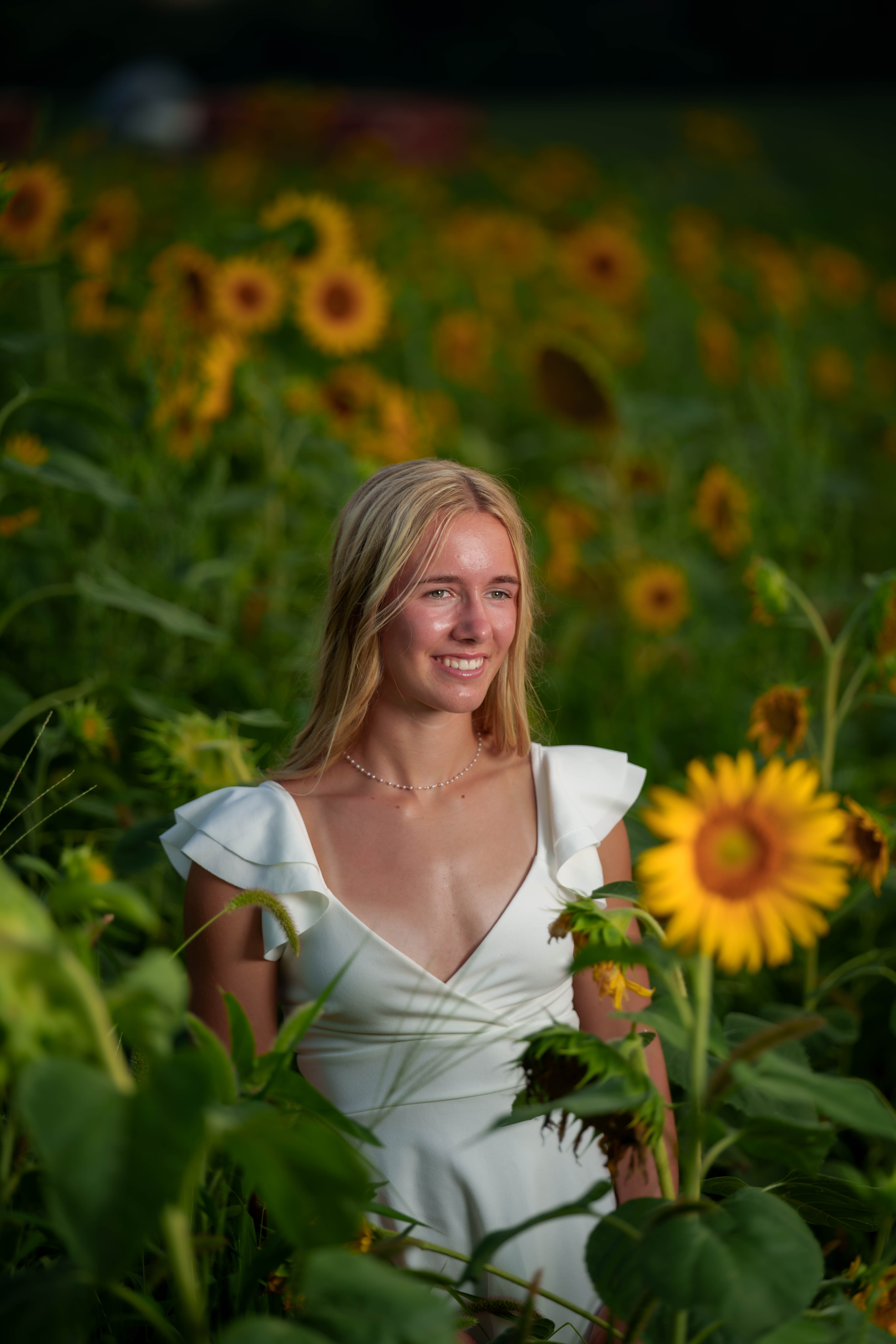 Click to View Larger Molly Olson poses for her senior portraits at Pheasant Valley Barn in Brooklyn, Wisconsin on July 29th, 2025. Olson will be graduating in 2026. Photography by Ross Harried for Second Crop Creative.