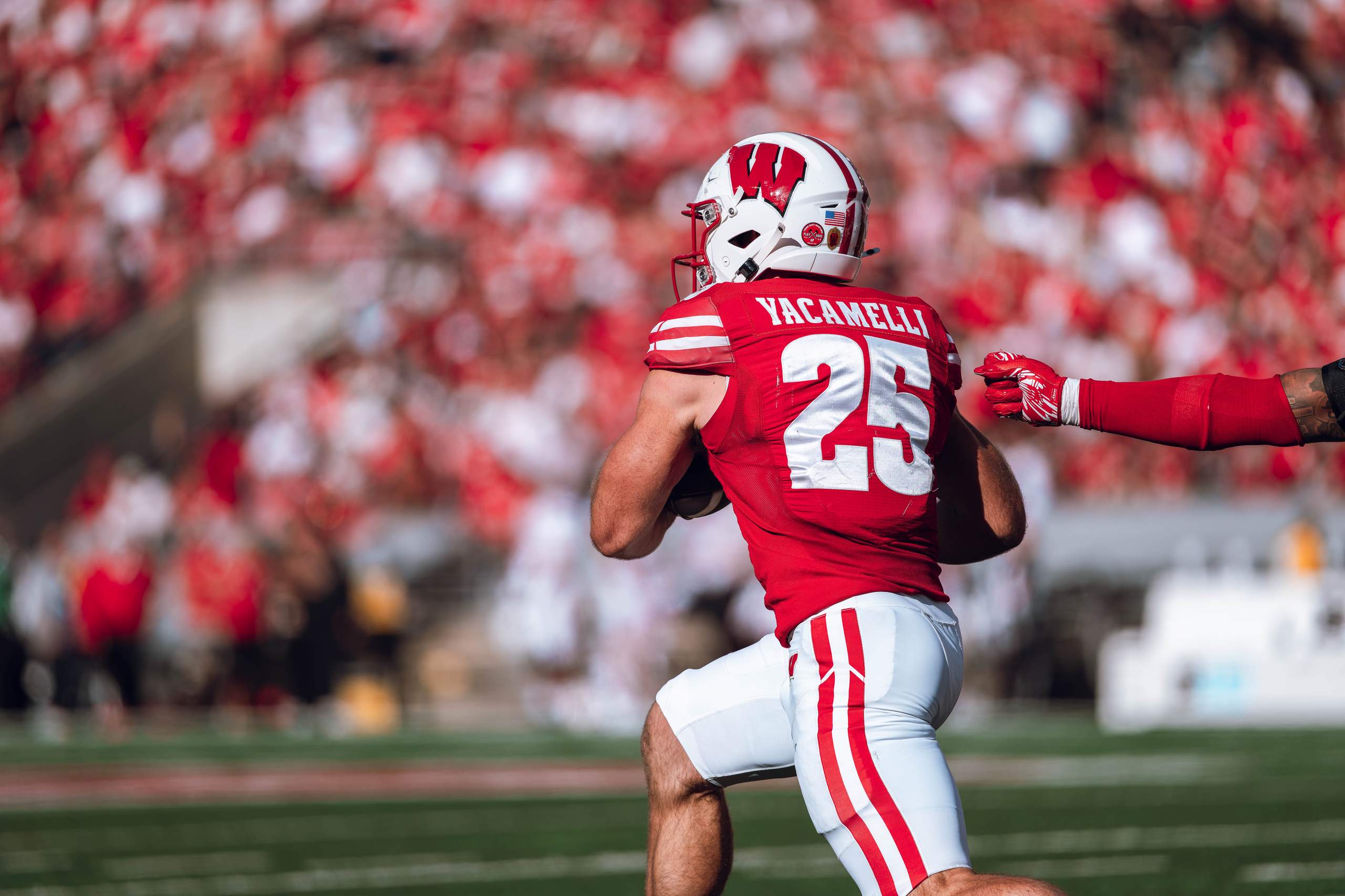 Wisconsin Badgers vs. South Dakota Coyotes at Camp Randall Stadium September 7, 2024, photography by Ross Harried for Second Crop Sports