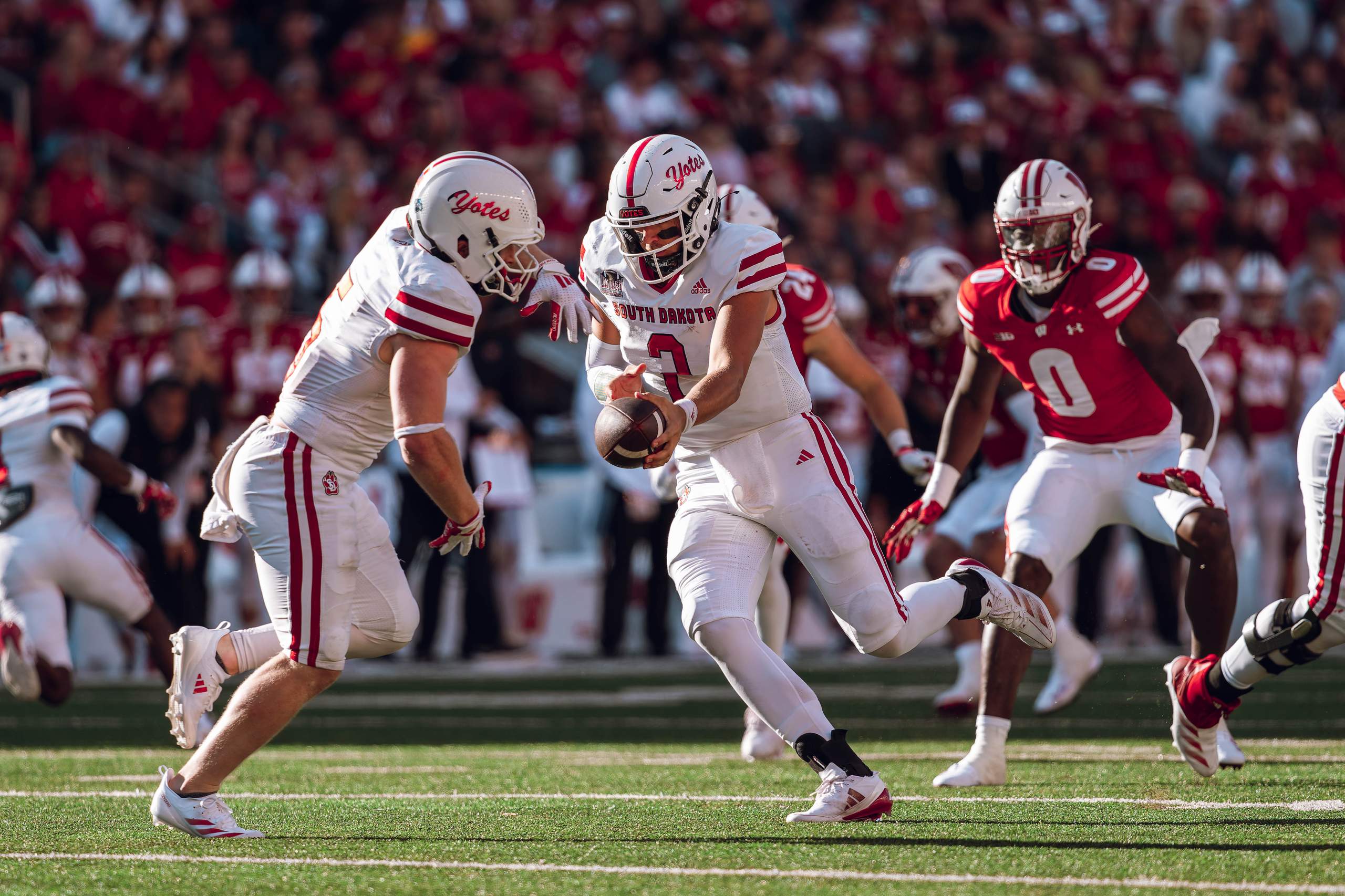 Wisconsin Badgers vs. South Dakota Coyotes at Camp Randall Stadium September 7, 2024, photography by Ross Harried for Second Crop Sports