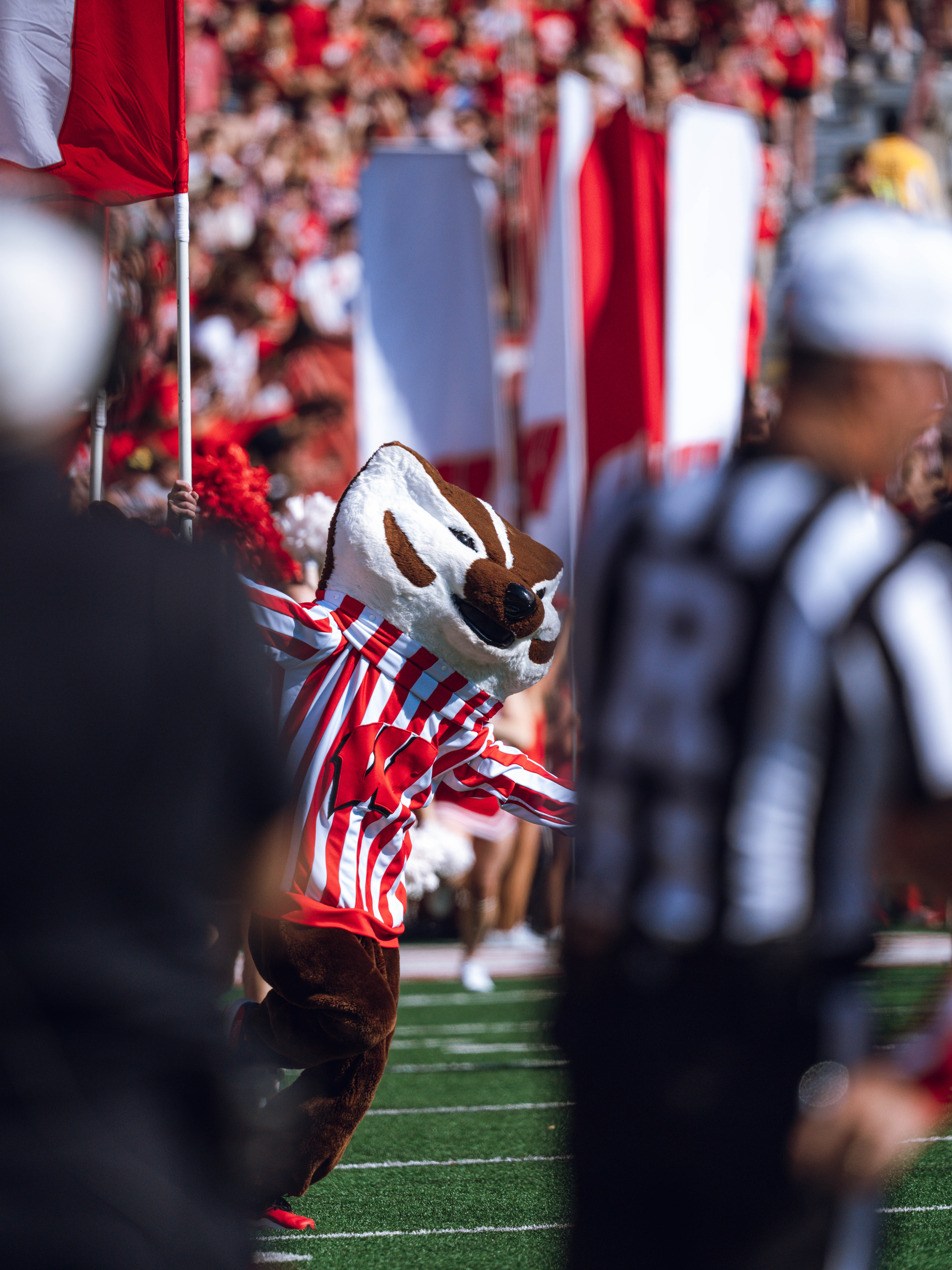 Bucky Badger leads the Wisconsin Badgers onto the field at Camp Randall Stadium against the Purdue Boilermakers on October 5, 2024 in Madison, Wisconsin. Photography by Ross Harried for Second Crop Sports.