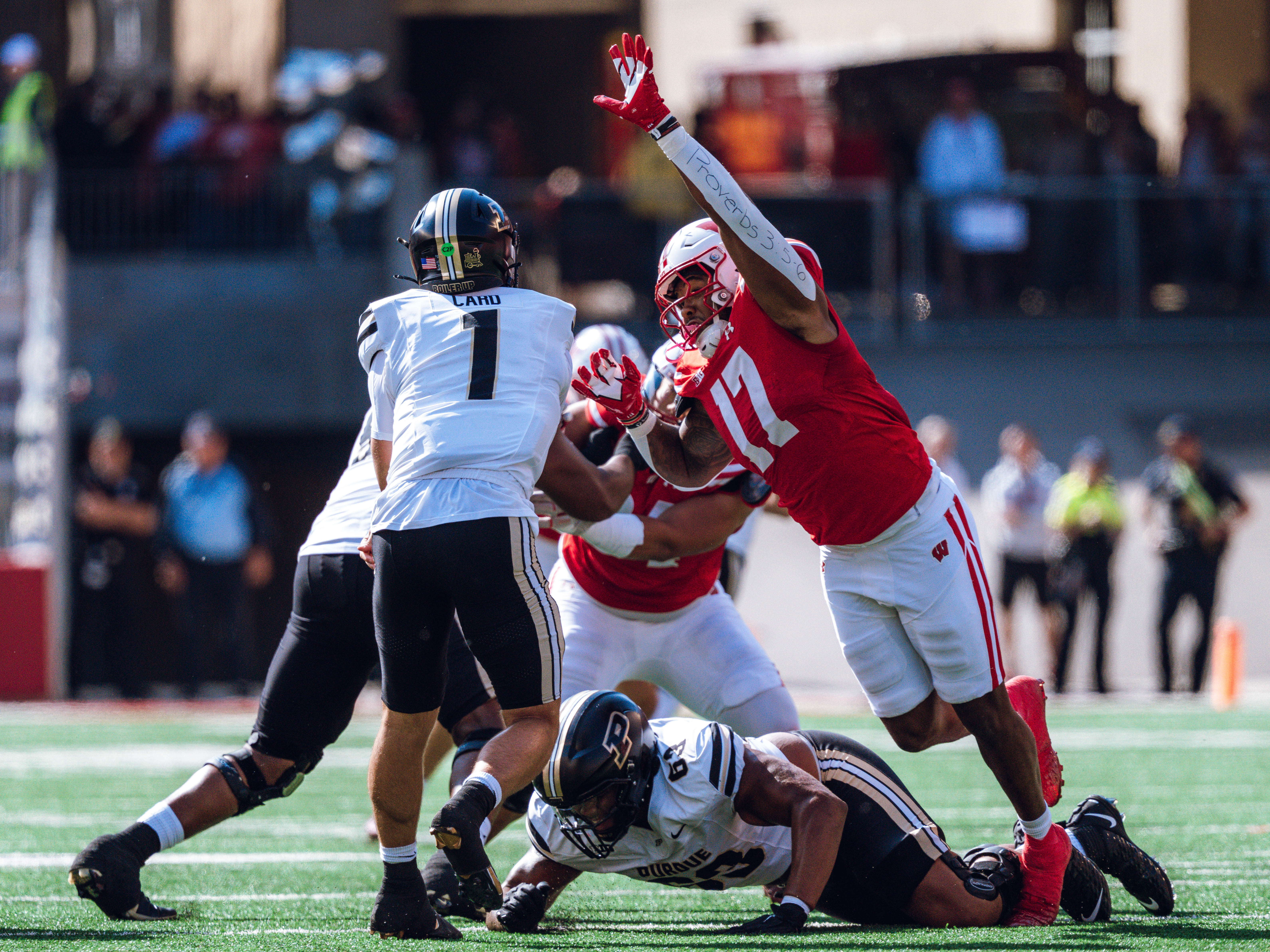 Purdue quarterback Hudson Card #1 is pressured by Wisconsin Badgers outside linebacker Darryl Peterson #17 at Camp Randall Stadium on October 5, 2024 in Madison, Wisconsin. Photography by Ross Harried for Second Crop Sports.