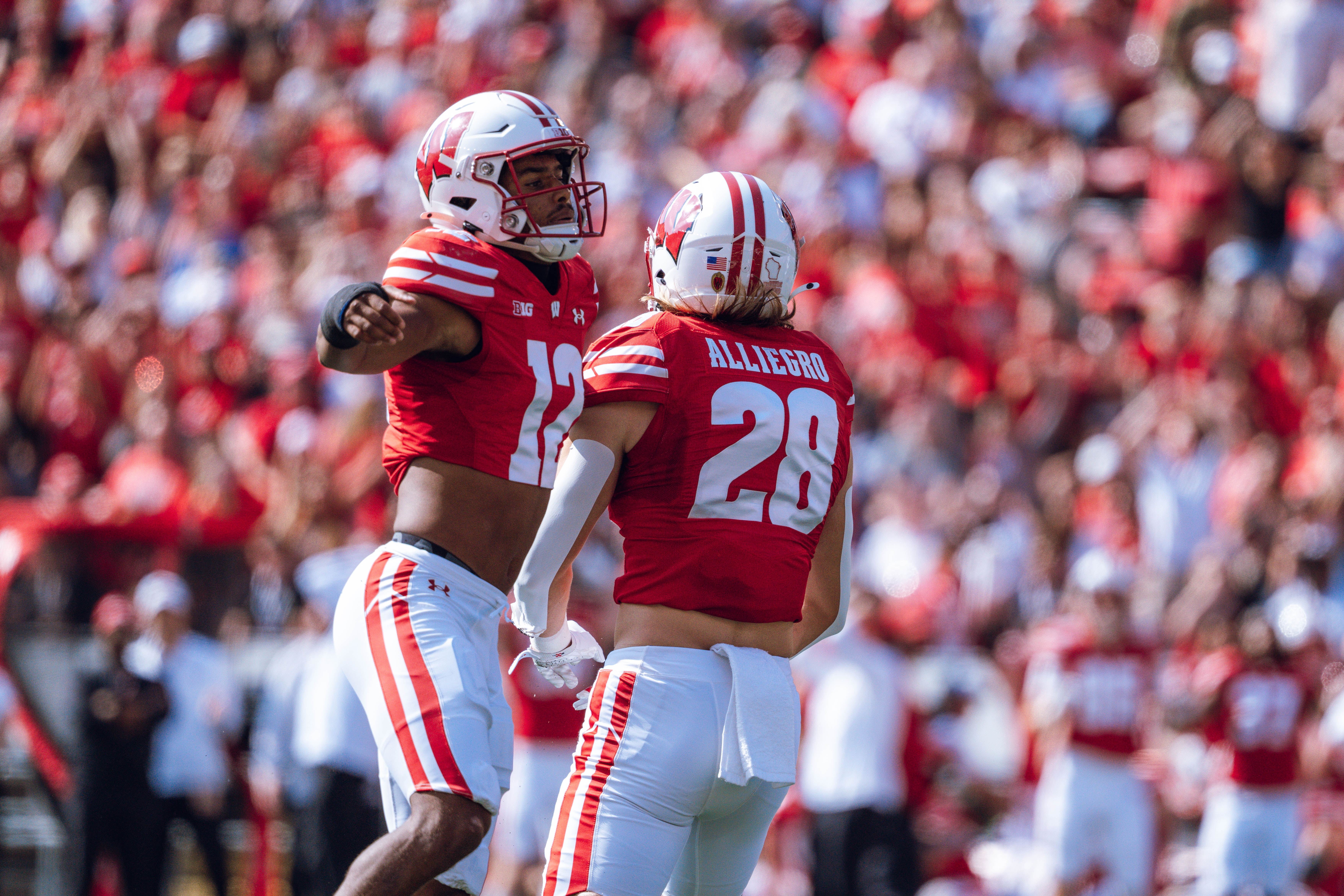 Wisconsin Badgers linebacker Christian Alliegro #28 and cornerback Max Lofy #12 celebrate a defensive stop against the Purdue Boilermakers at Camp Randall Stadium on October 5, 2024 in Madison, Wisconsin. Photography by Ross Harried for Second Crop Sports.