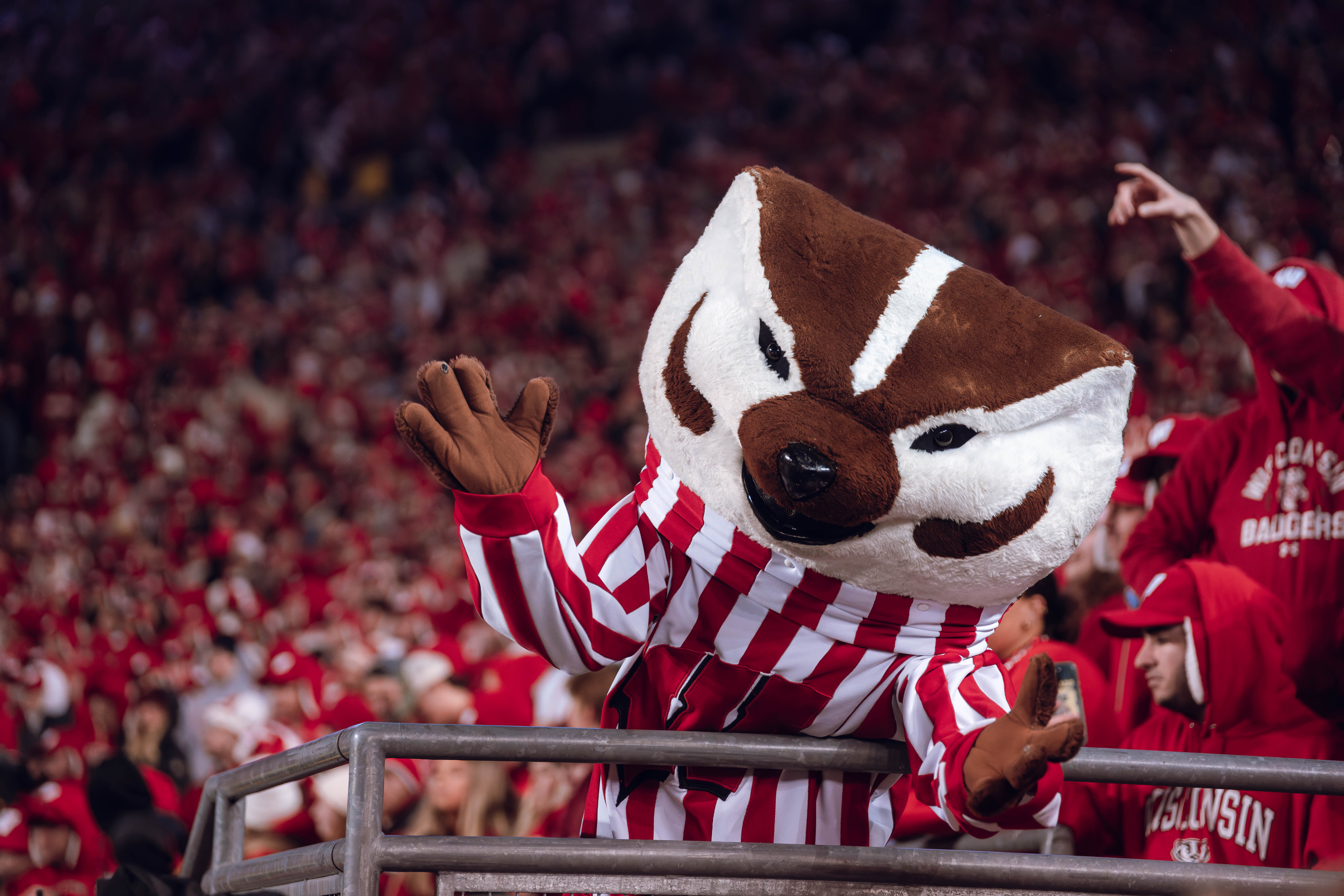 Bucky Badger at Camp Randall Stadium on November 16, 2024 in Madison, Wisconsin as the Wisconsin Badgers take on the Oregon Ducks. Photography by Ross Harried for Second Crop Sports.