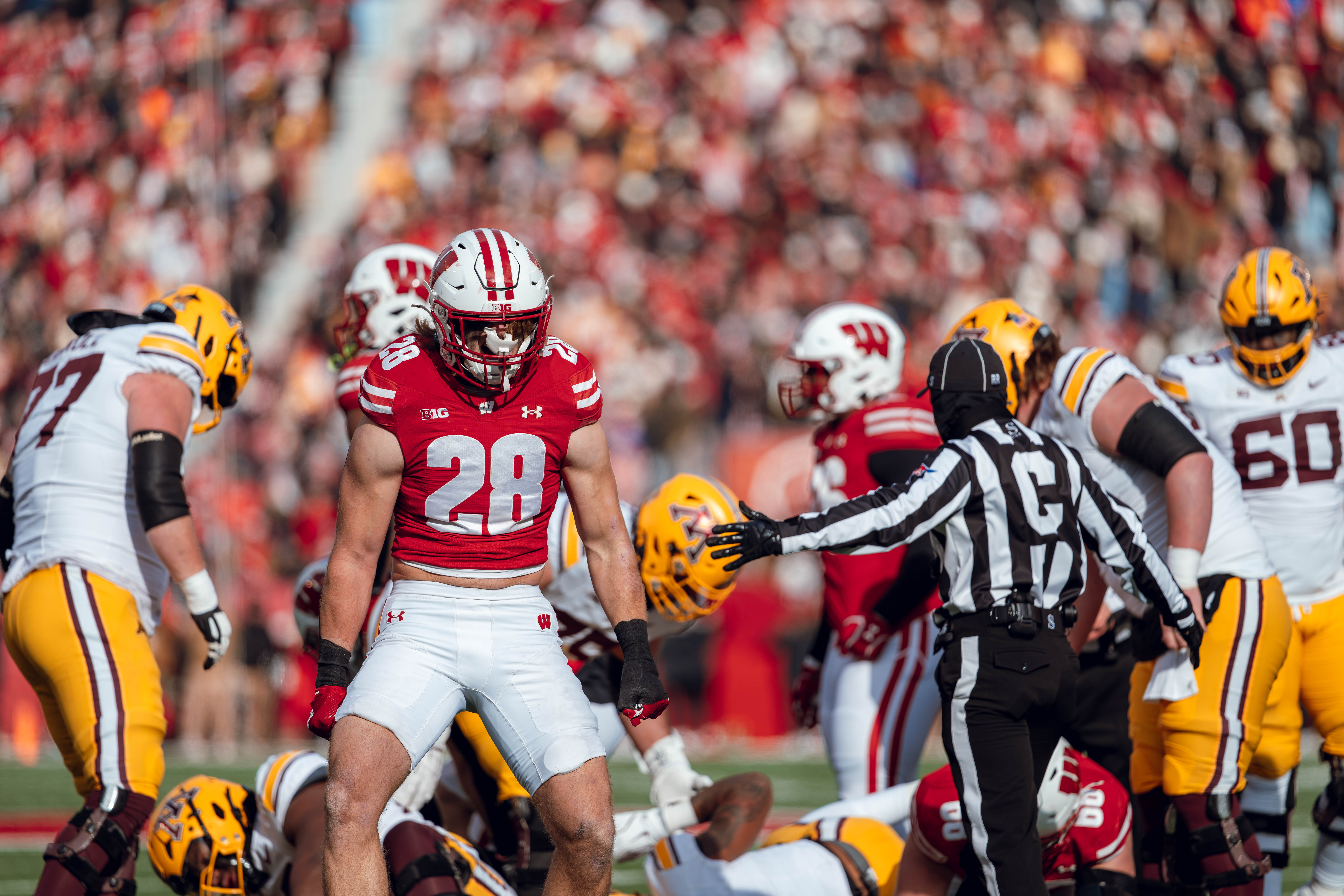 Wisconsin Badgers linebacker Christian Alliegro #28 celebrates a defensive stop against the Minnesota Golden Gophers at Camp Randall Stadium on November 29, 2024 in Madison, Wisconsin. Photography by Ross Harried for Second Crop Sports.