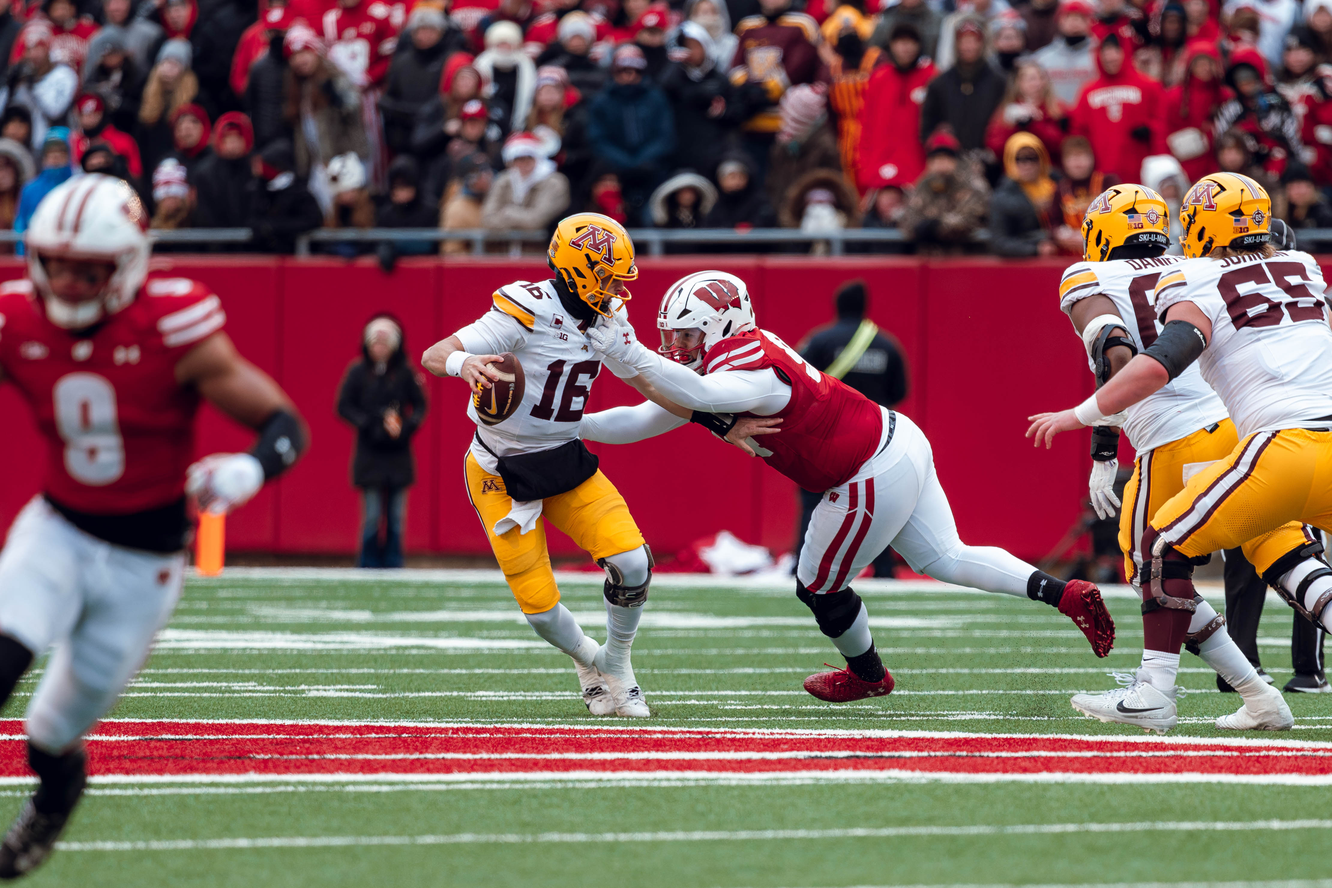 Wisconsin Badgers defensive lineman Elijah Hills #94 sacks Minnesota Golden Gopher quarterback Max Brosmer #16 at Camp Randall Stadium on November 29, 2024 in Madison, Wisconsin. Photography by Ross Harried for Second Crop Sports.