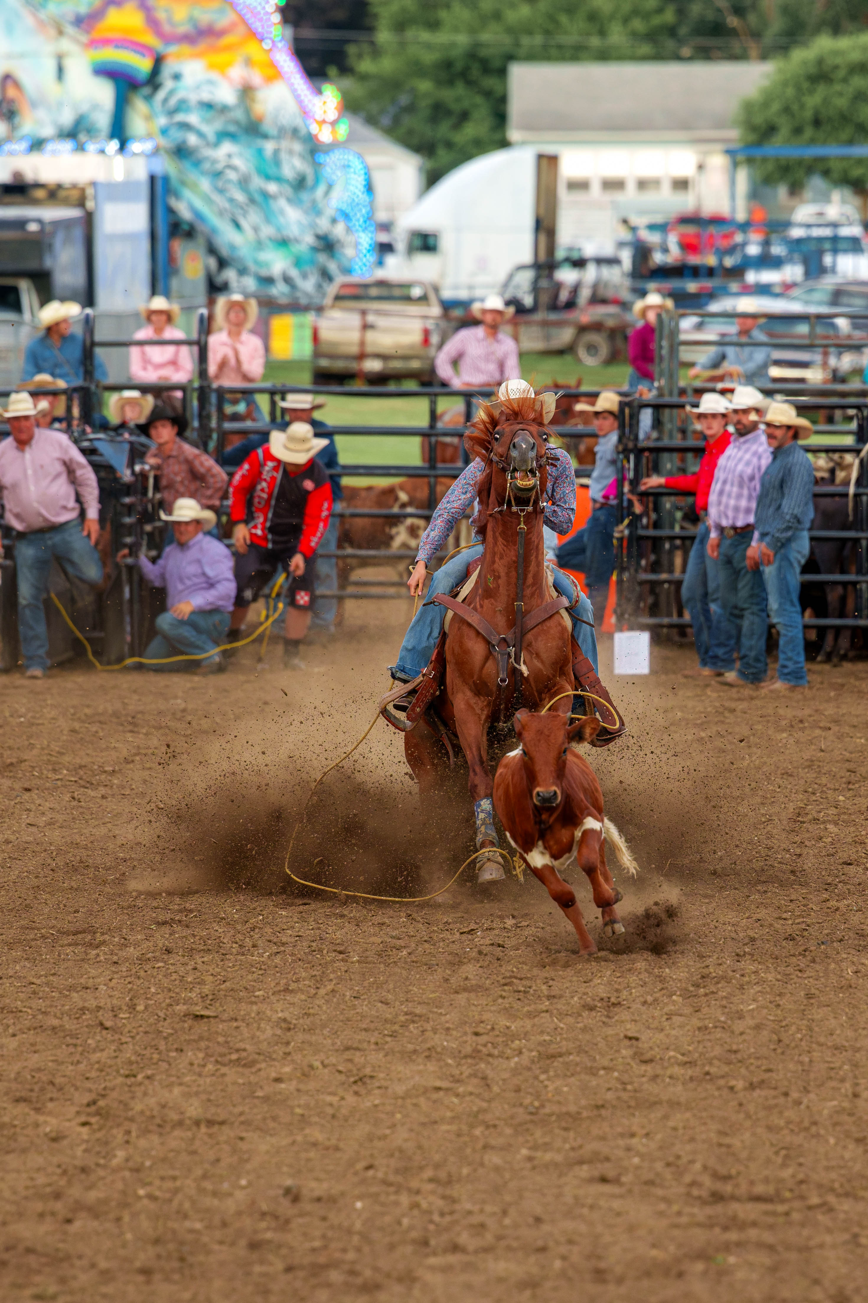 Bucking Bulls full rodeo at the Green County Fair in Monroe, Wisconsin on July 16th, 2025. Photography by Ross Harried for Second Crop Sports.