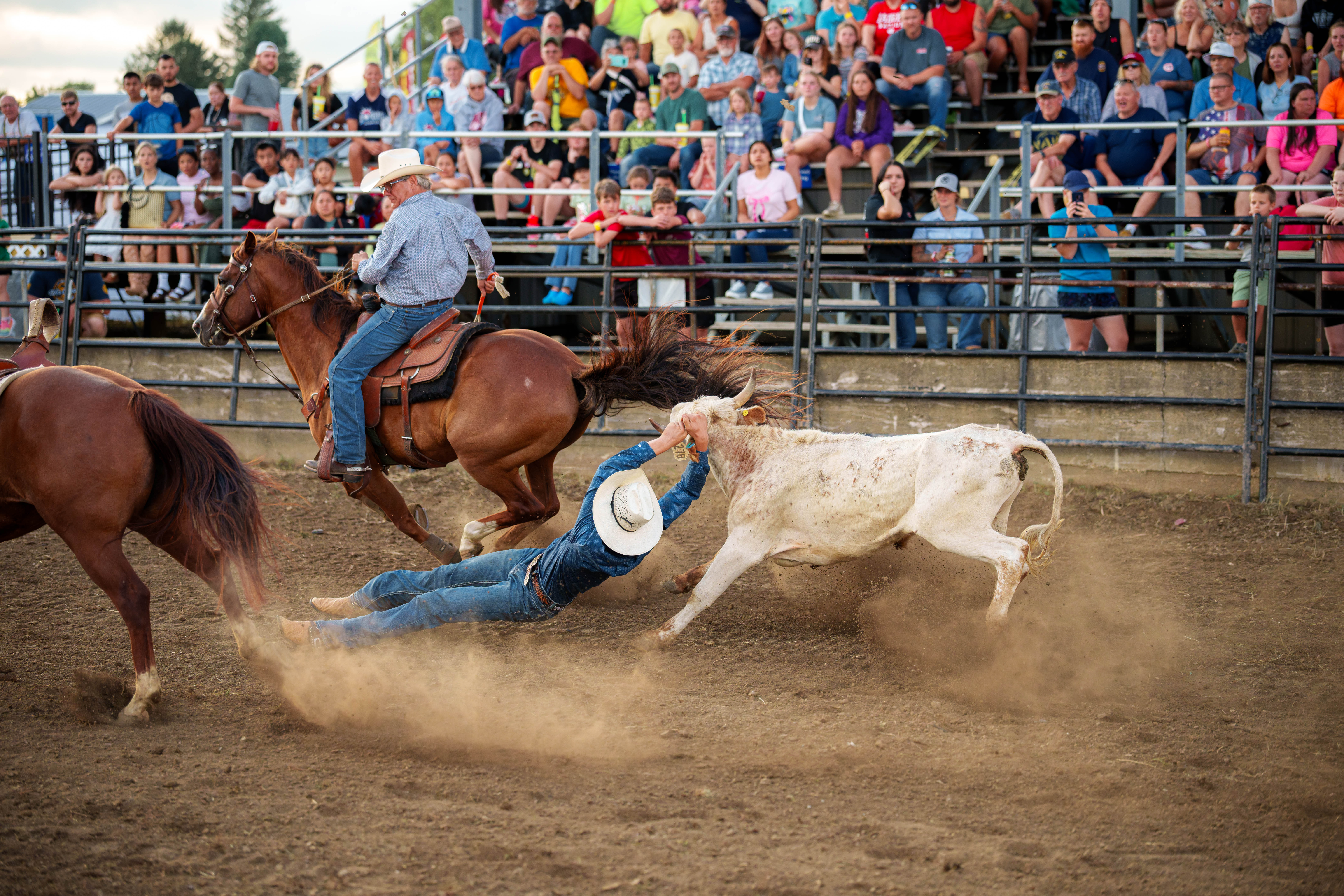 Bucking Bulls full rodeo at the Green County Fair in Monroe, Wisconsin on July 16th, 2025. Photography by Ross Harried for Second Crop Sports.