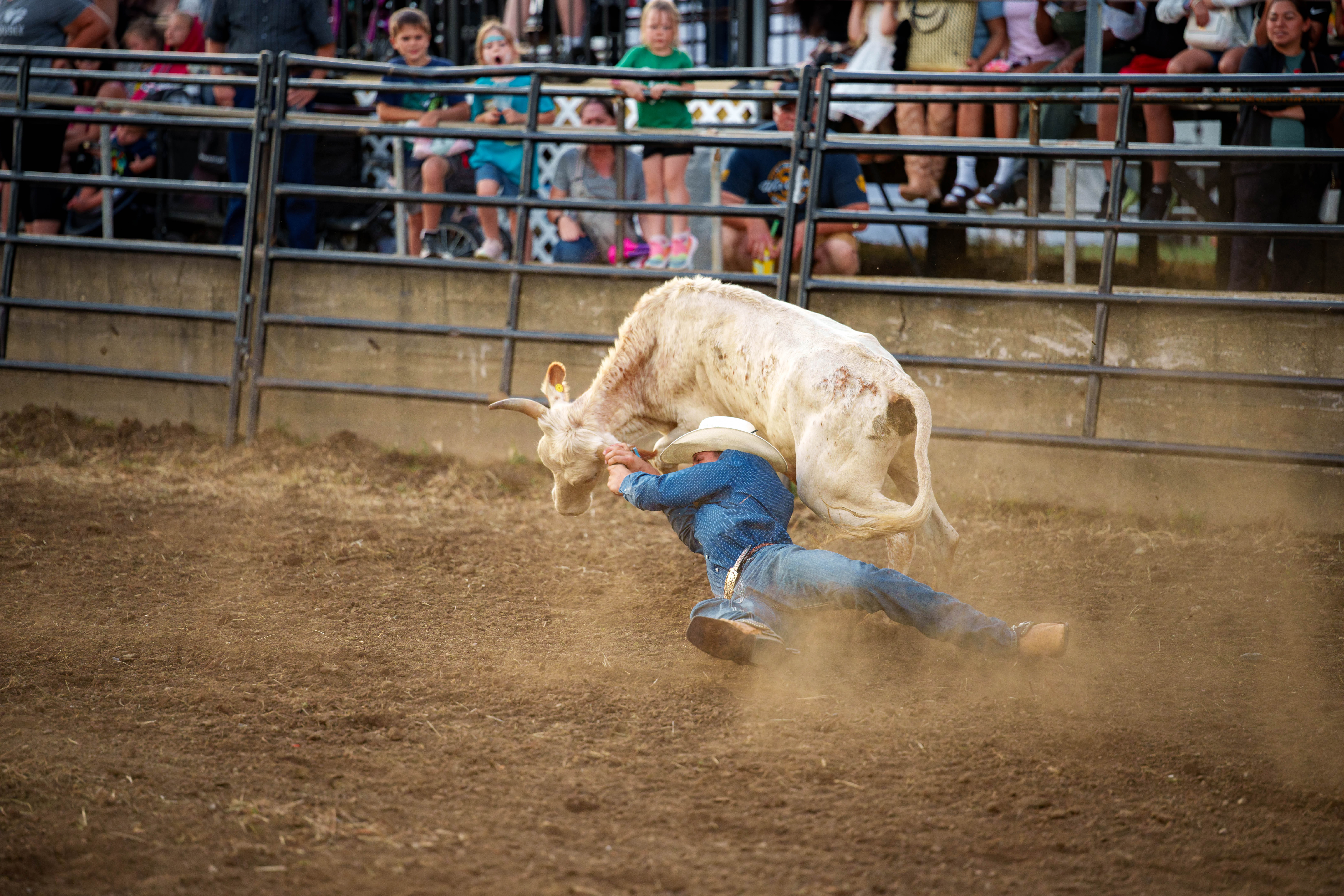 Bucking Bulls full rodeo at the Green County Fair in Monroe, Wisconsin on July 16th, 2025. Photography by Ross Harried for Second Crop Sports.