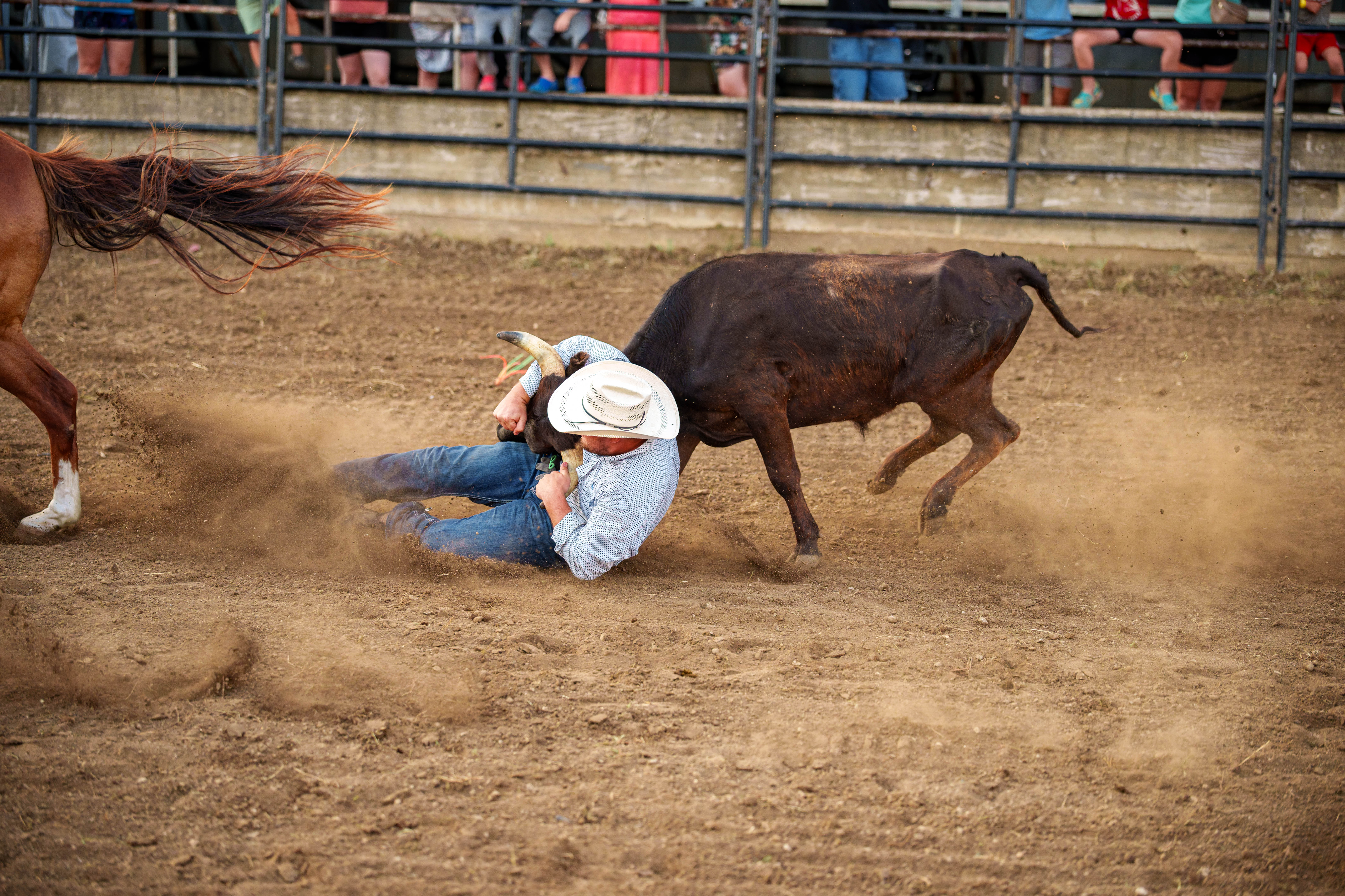 Bucking Bulls full rodeo at the Green County Fair in Monroe, Wisconsin on July 16th, 2025. Photography by Ross Harried for Second Crop Sports.