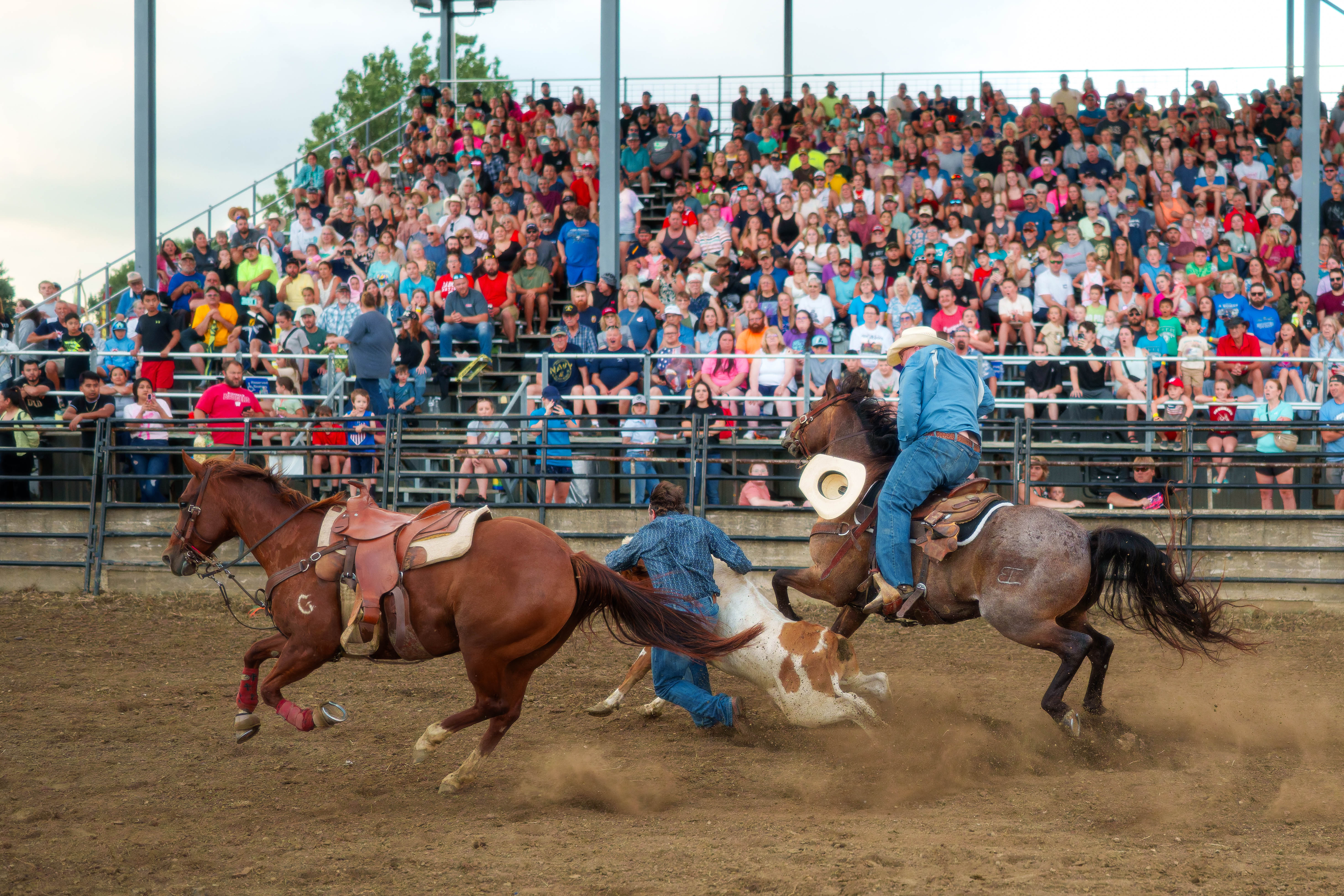 Bucking Bulls full rodeo at the Green County Fair in Monroe, Wisconsin on July 16th, 2025. Photography by Ross Harried for Second Crop Sports.
