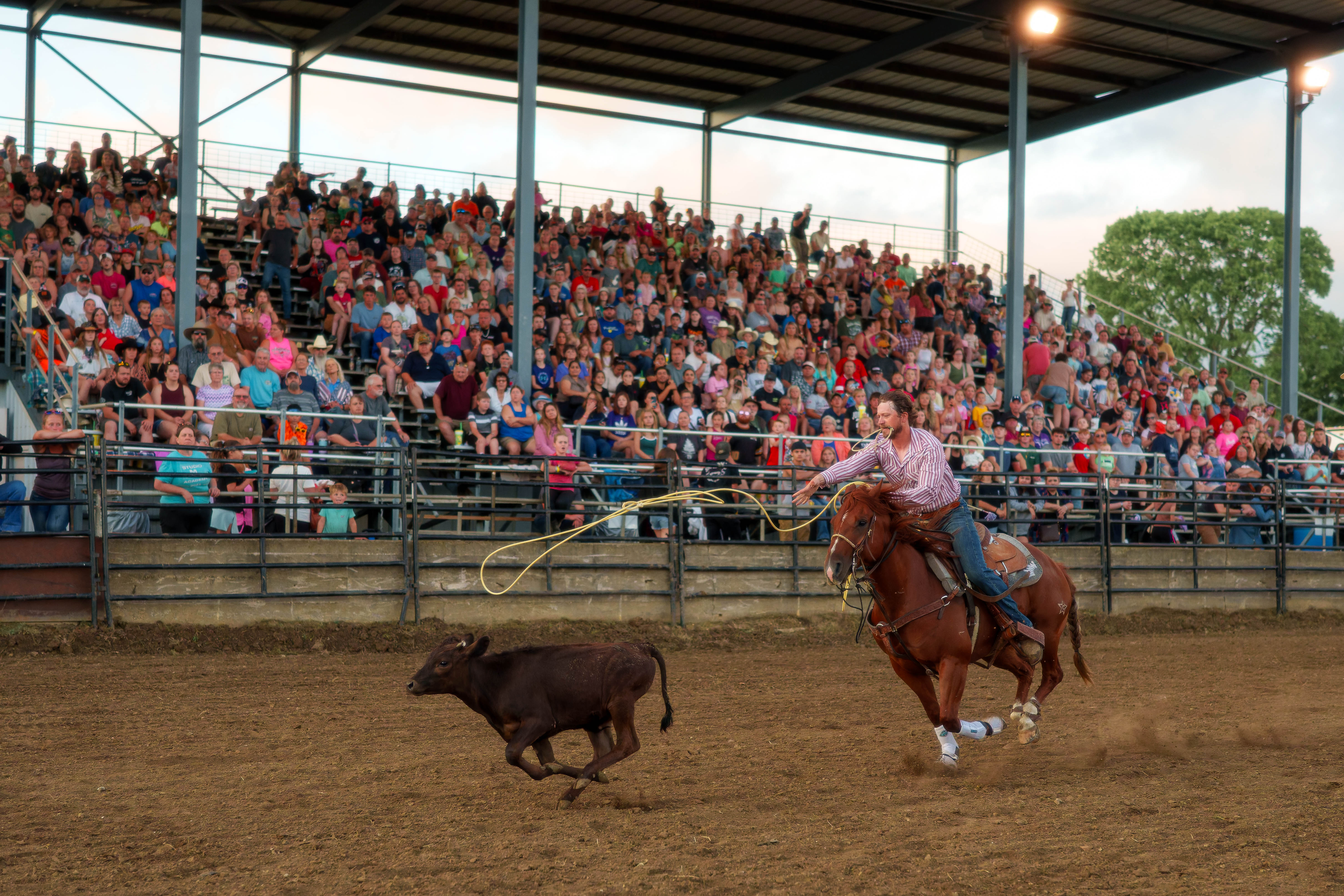 Bucking Bulls full rodeo at the Green County Fair in Monroe, Wisconsin on July 16th, 2025. Photography by Ross Harried for Second Crop Sports.