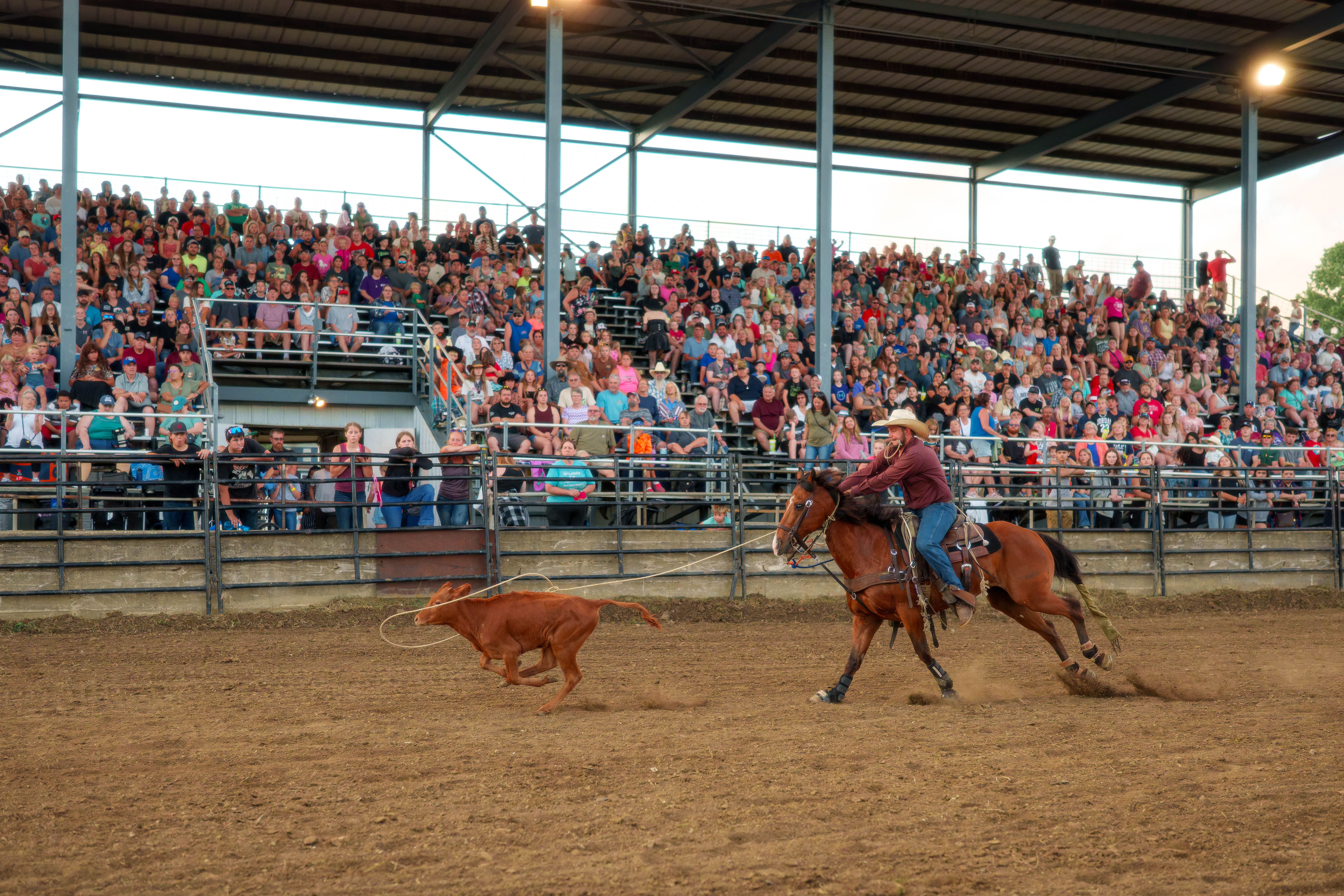 Bucking Bulls full rodeo at the Green County Fair in Monroe, Wisconsin on July 16th, 2025. Photography by Ross Harried for Second Crop Sports.