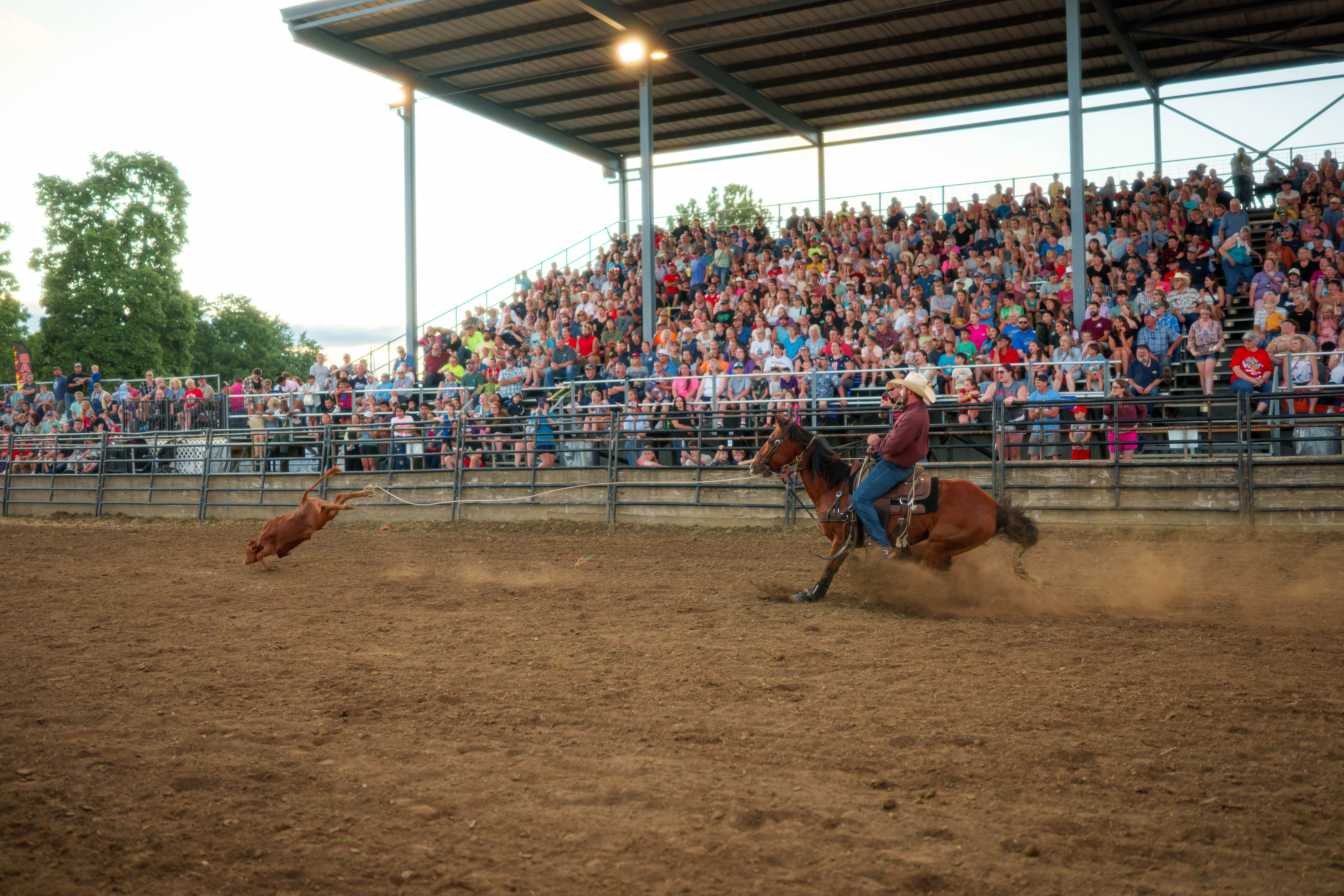 Bucking Bulls full rodeo at the Green County Fair in Monroe, Wisconsin on July 16th, 2025. Photography by Ross Harried for Second Crop Sports.