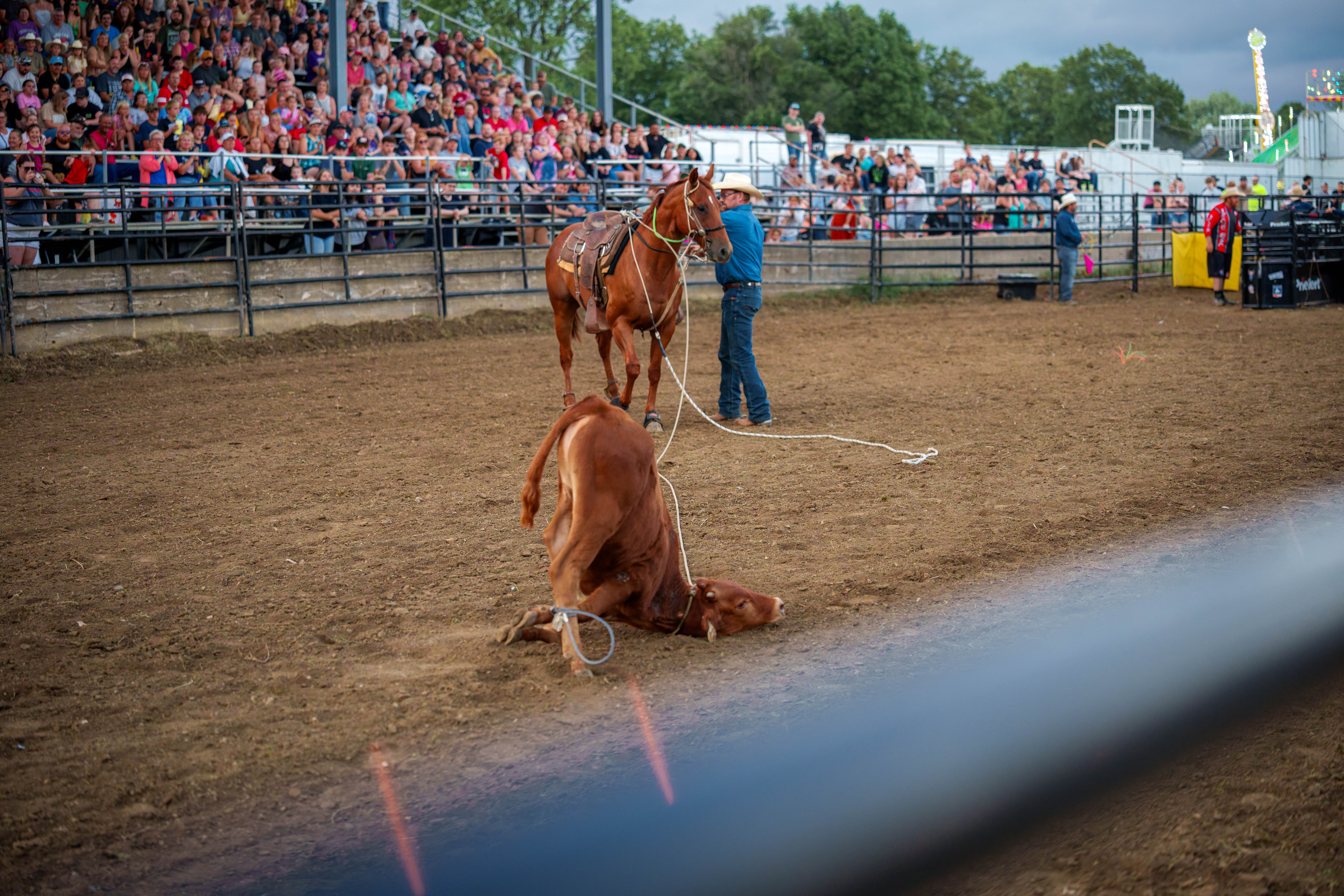 Bucking Bulls full rodeo at the Green County Fair in Monroe, Wisconsin on July 16th, 2025. Photography by Ross Harried for Second Crop Sports.