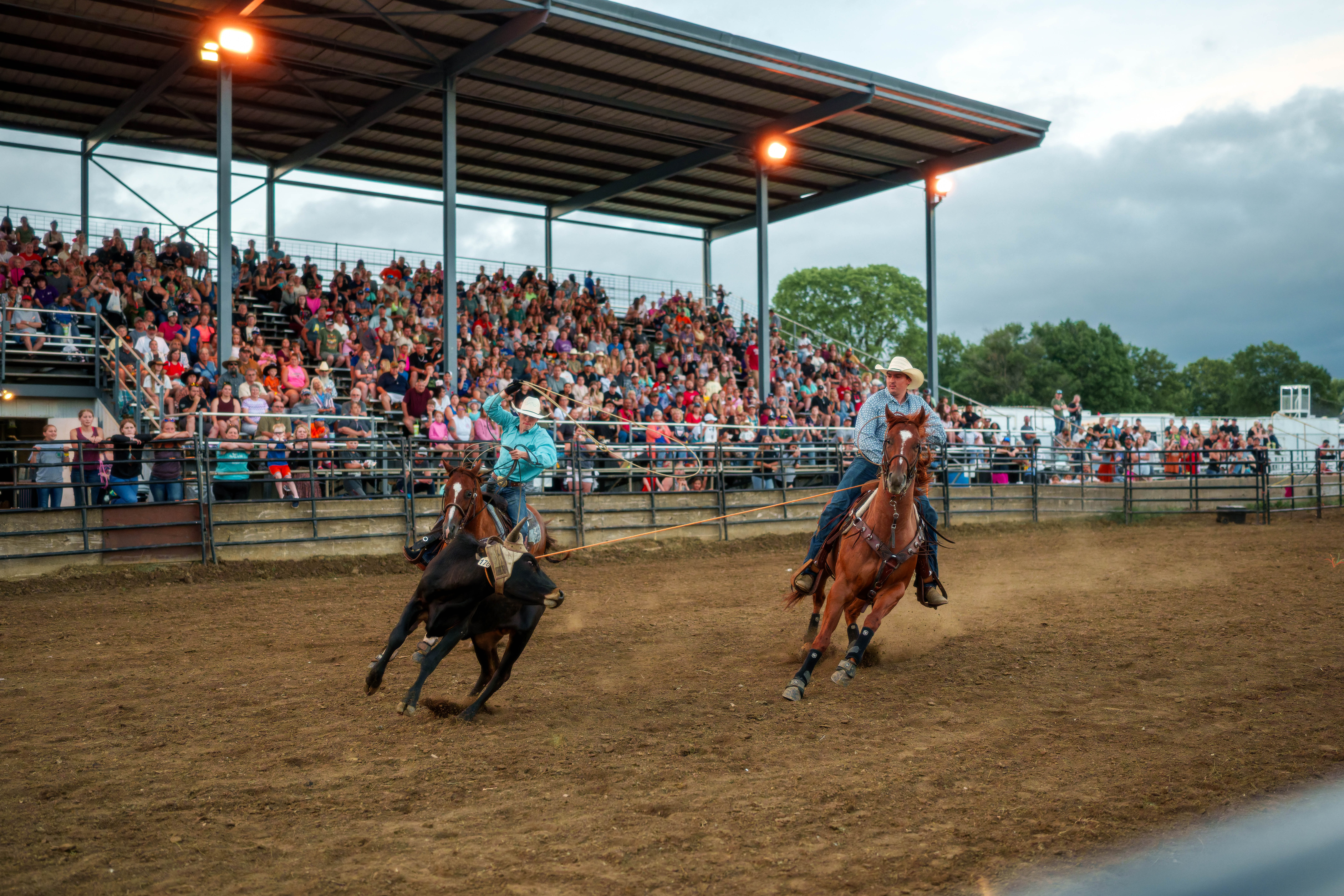 Bucking Bulls full rodeo at the Green County Fair in Monroe, Wisconsin on July 16th, 2025. Photography by Ross Harried for Second Crop Sports.