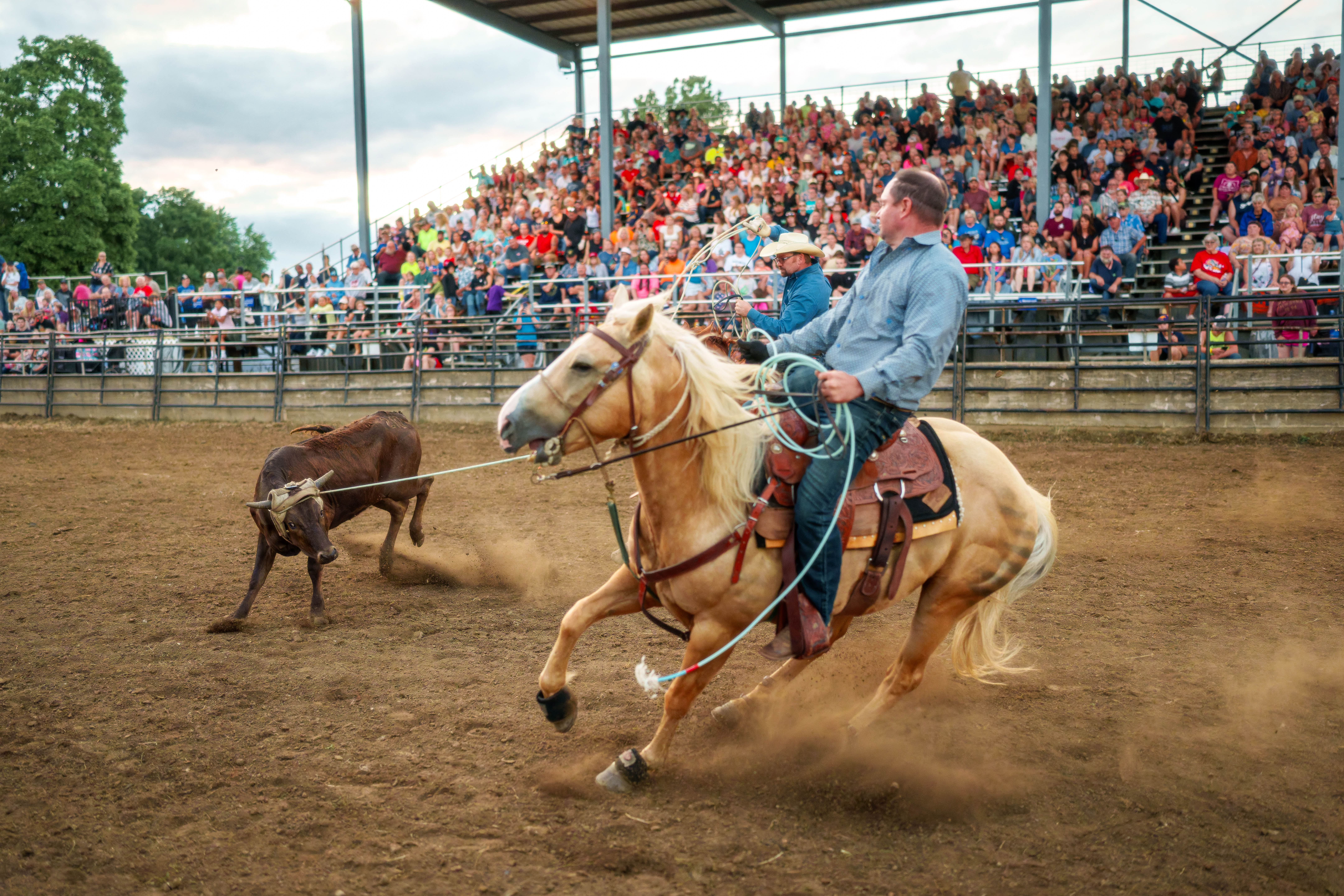 Bucking Bulls full rodeo at the Green County Fair in Monroe, Wisconsin on July 16th, 2025. Photography by Ross Harried for Second Crop Sports.
