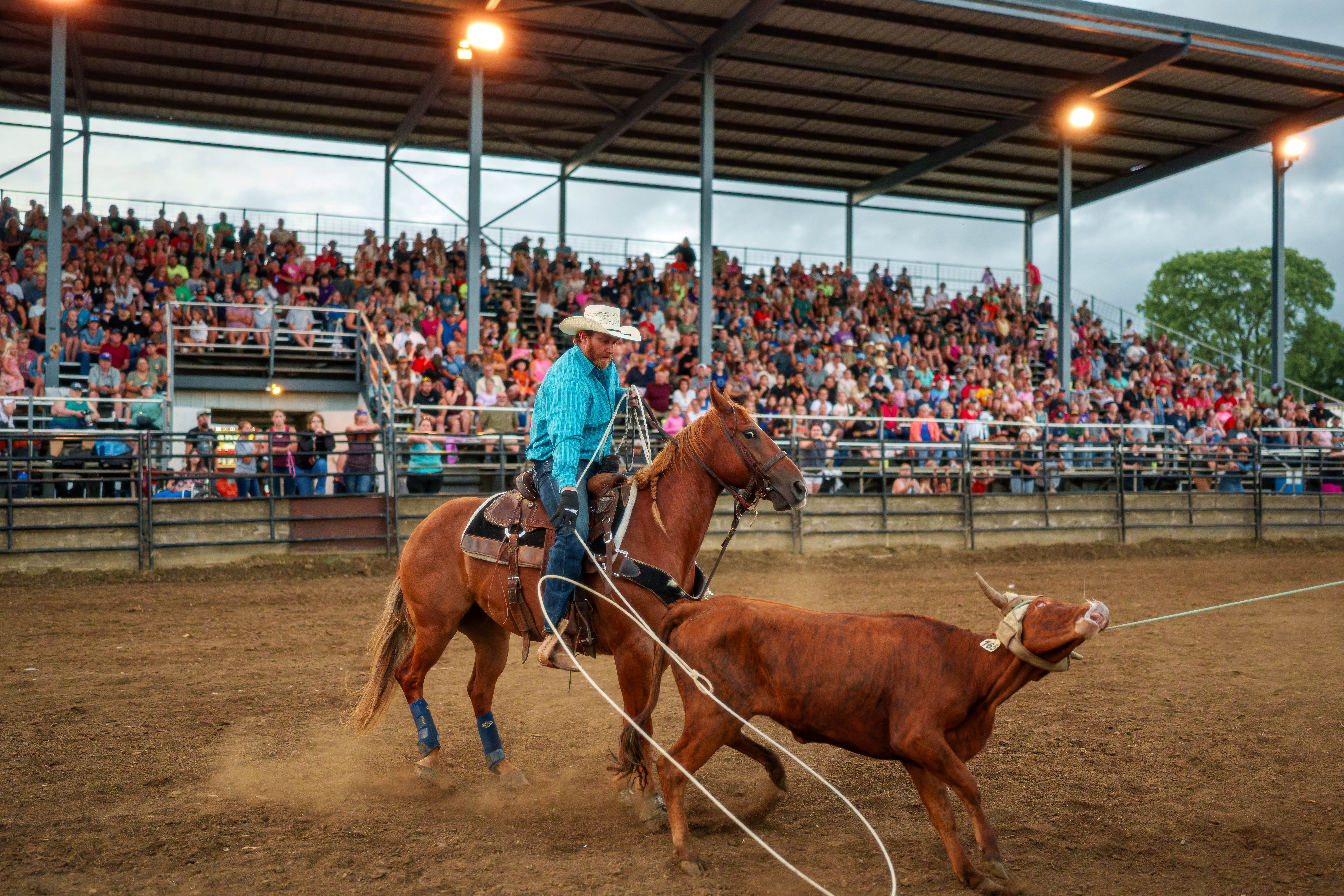 Bucking Bulls full rodeo at the Green County Fair in Monroe, Wisconsin on July 16th, 2025. Photography by Ross Harried for Second Crop Sports.