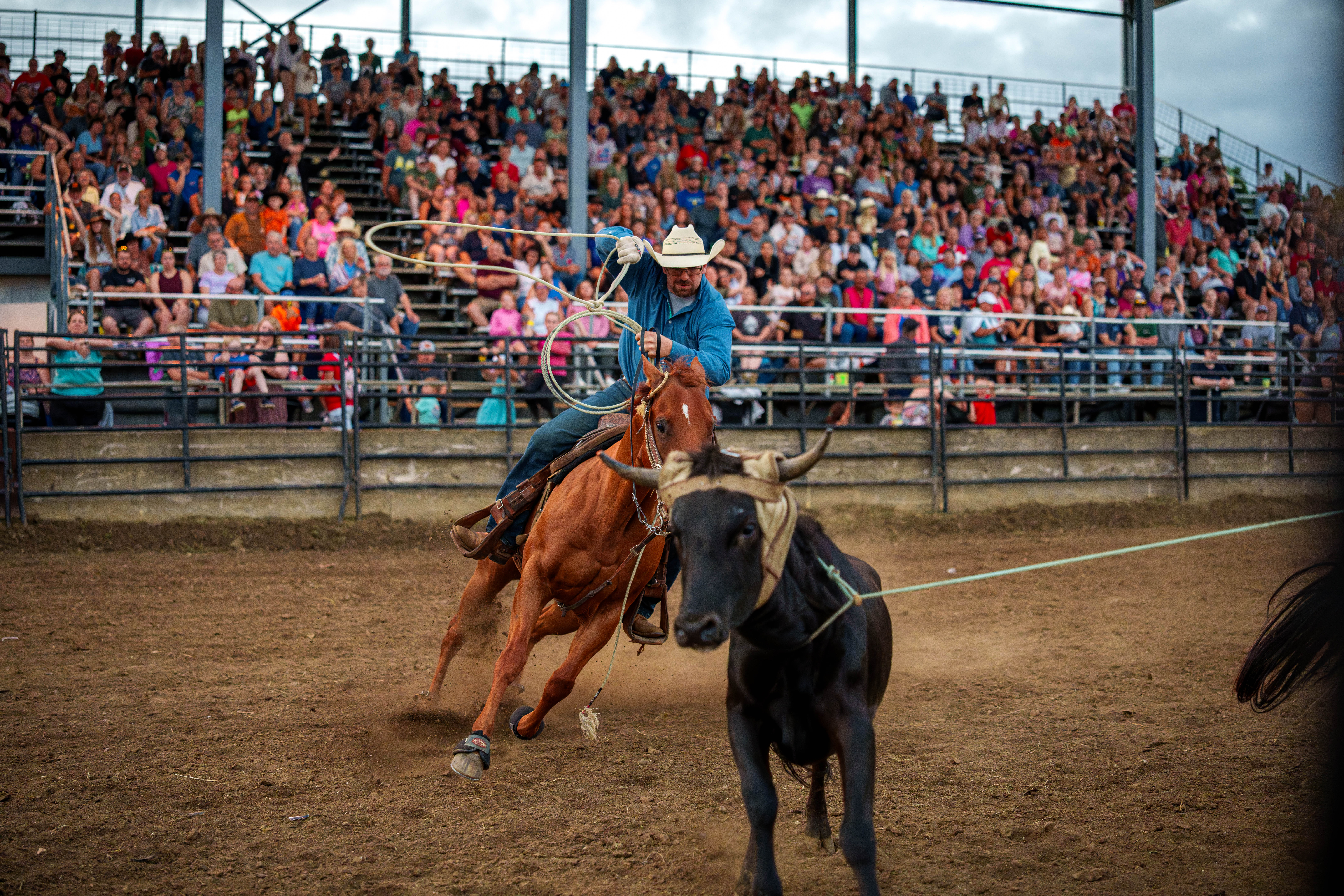 Bucking Bulls full rodeo at the Green County Fair in Monroe, Wisconsin on July 16th, 2025. Photography by Ross Harried for Second Crop Sports.