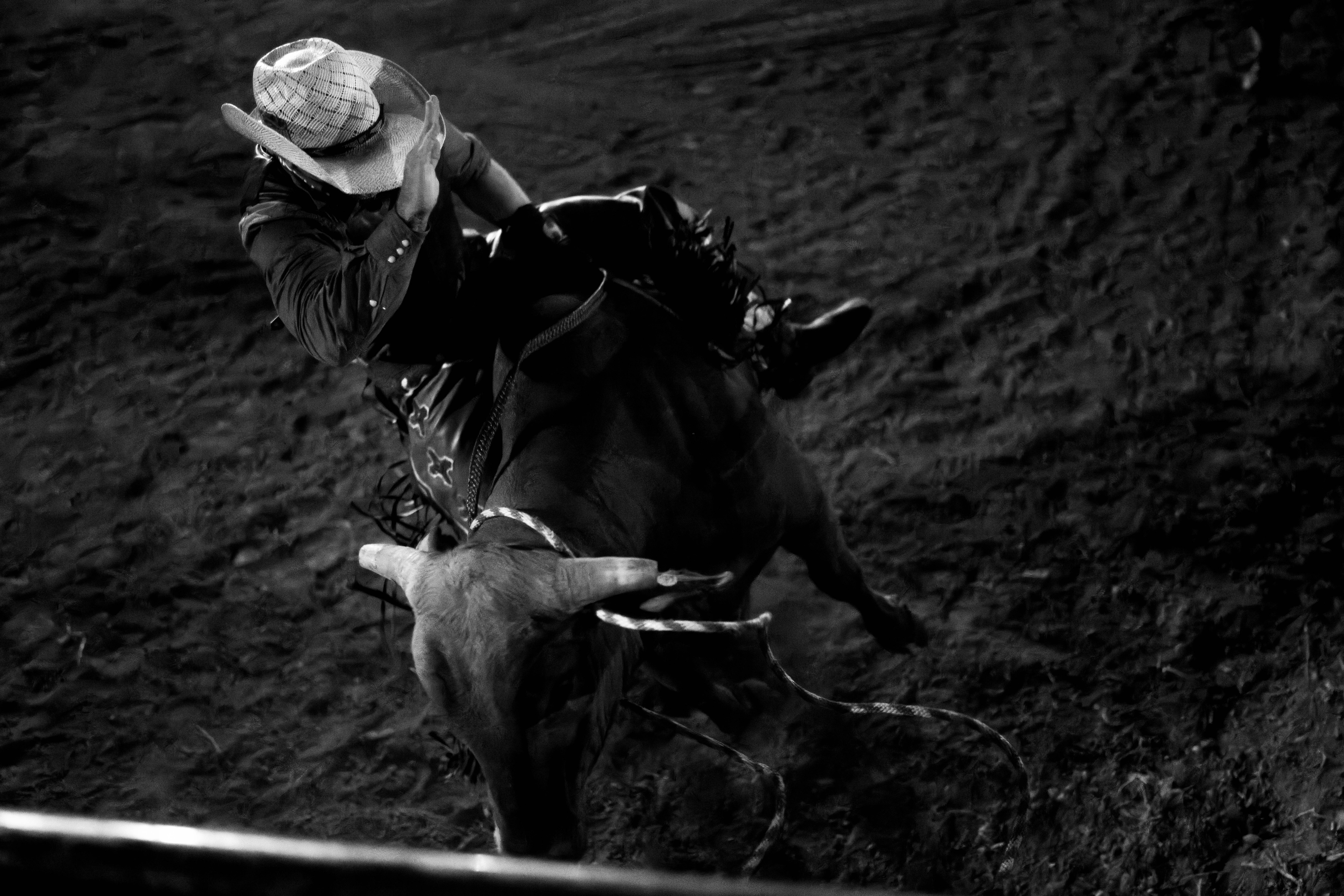 Bucking Bulls full rodeo at the Green County Fair in Monroe, Wisconsin on July 16th, 2025. Photography by Ross Harried for Second Crop Sports.