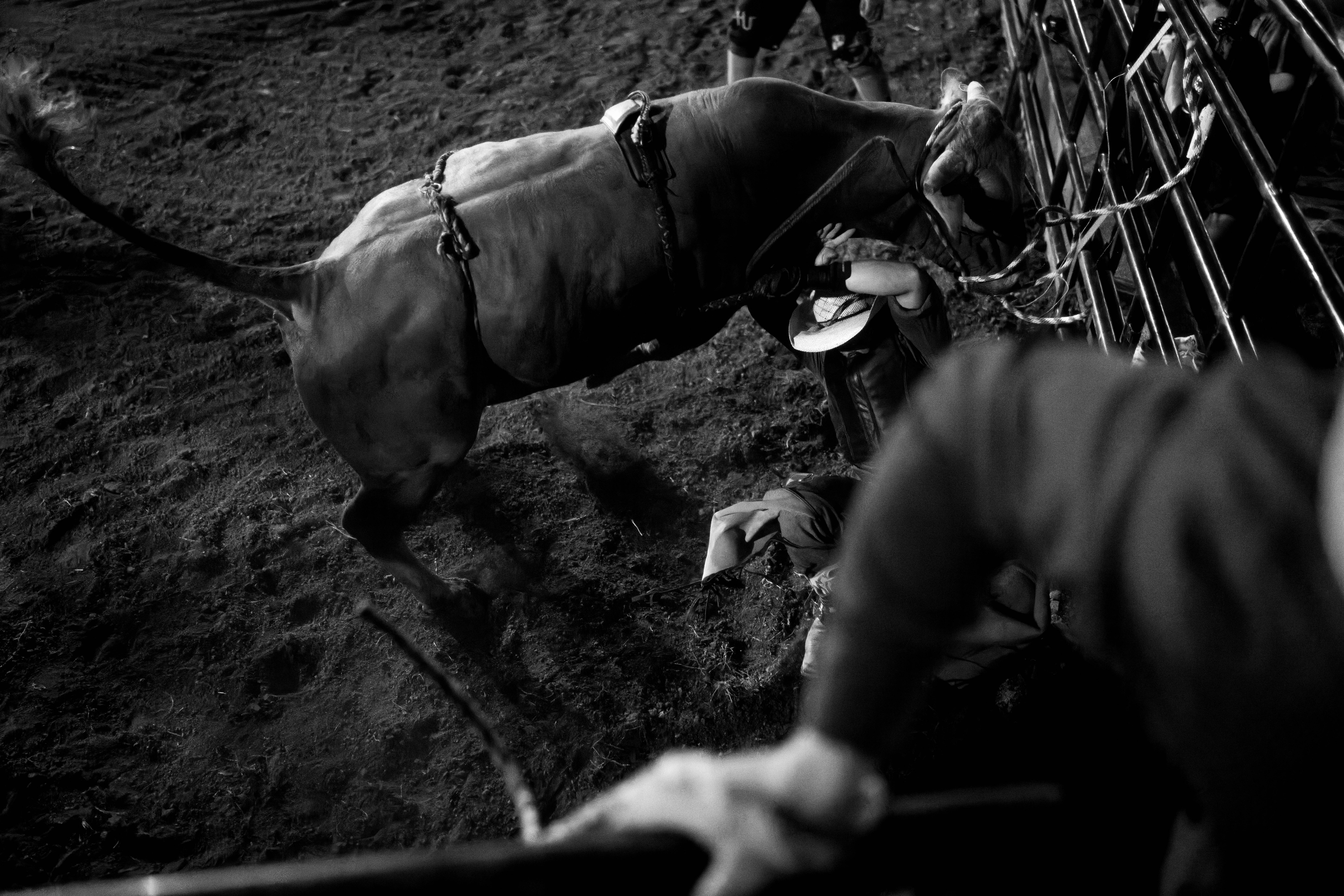 Bucking Bulls full rodeo at the Green County Fair in Monroe, Wisconsin on July 16th, 2025. Photography by Ross Harried for Second Crop Sports.