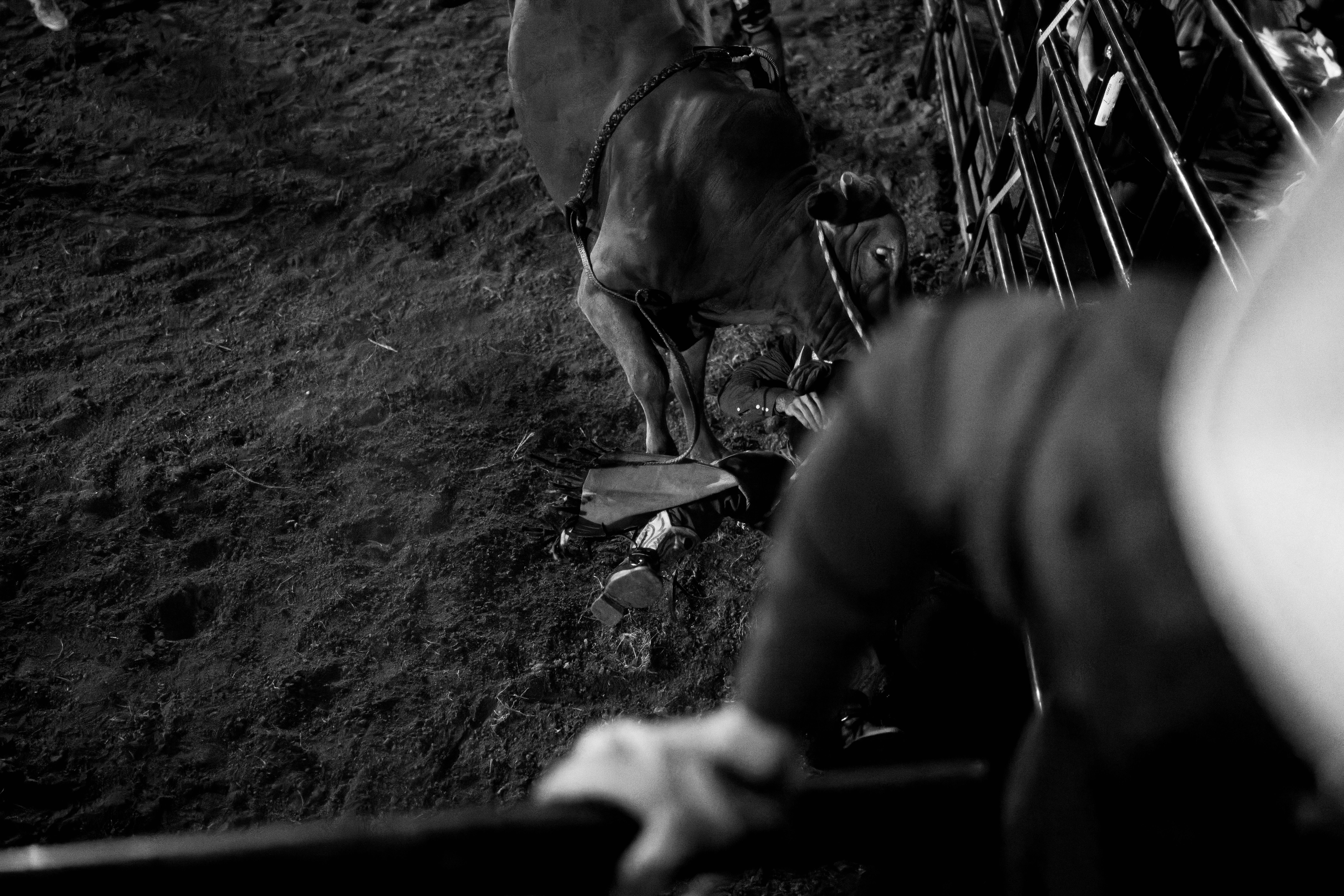 Bucking Bulls full rodeo at the Green County Fair in Monroe, Wisconsin on July 16th, 2025. Photography by Ross Harried for Second Crop Sports.